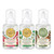 Michel Design Works Winter Scents Mini Foaming Hand Soap Set (819053)