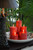 Root Timberline Pillar Candle, 3x3" Red (33368)