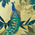 Paperproducts Design Beverage Napkins, Gilded Peacock - 2 Packs (125002267)