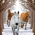 Paperproducts Design Beverage Napkins, Horse Passage- 2 Packs (1253525)