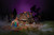 Department 56 Hocus Pocus Village Figurine, Amok, Amok, Amok (6014673)