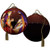 Ne'Qwa Ornament, Christ the Savior is Born (7241120)