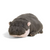 Warmies Heatable Plush, Pygmy Hippo (CP-HIP-BA)