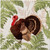 Caspari Paper Beverage Napkins, Turkey Among Ferns - 2 Packs (18770C)
