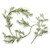 TAG Garland, Mistletoe - 60" (G20109) TAG Garland, Mistletoe - 60" (G20109)