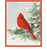 Caspari Petite Boxed Christmas Cards, Cardinal & Evergreen - Box of 15 cards & envelopes (105009) Caspari Petite Boxed Christmas Cards, Cardinal & Evergreen - Box of 15 cards & envelopes (105009)