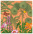 Caspari Paper Luncheon Napkins, Paradise Garden Melon - 2 Packs (18951L)