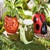 TAG Snail 4" Planter (G21120)