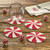 Park Designs Braided Coasters, Peppermint Candy - Set of 4 (9854-156)
