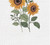 C&F Home Waffle Weave Kitchen Towel, Sunflower Patch (C86171646)