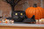C&F Home Black Cat Hand Woven Trick-or-Treat Candy Container (C46015005)