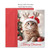 Masterpiece Studios Boxed Holiday Cards, Meowy and Bright (1002400)