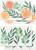 Now Designs by Danica Cedar & Citrus Cellulose Sponges, Set of 4 (NBU4399D)