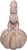 GALLERIE II Squirrel On Pumpkin Figurine (XFGH80760)