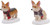 Department 56 Village Accessories, Christmas Highland Corgi Dogs 2-Piece Figurine Set (6018308)