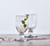TAG Bubble Glass Goblet (550287)