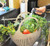 Gourmac Garden Colander, Robin's Egg Blue (3780BL)