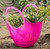 Gourmac Garden Colander, Raspberry Pink (3780RB)