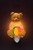 Ibis & Orchid Nightlight, Teddy Bear