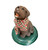 Byers' Choice Dog, Chocolate Labrador (614O) Byers' Choice Dog, Chocolate Labrador (614O)