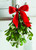 TAG Christmas Hanging Mistletoe (201244)