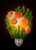 Ibis & Orchid Nightlight, Clownfish