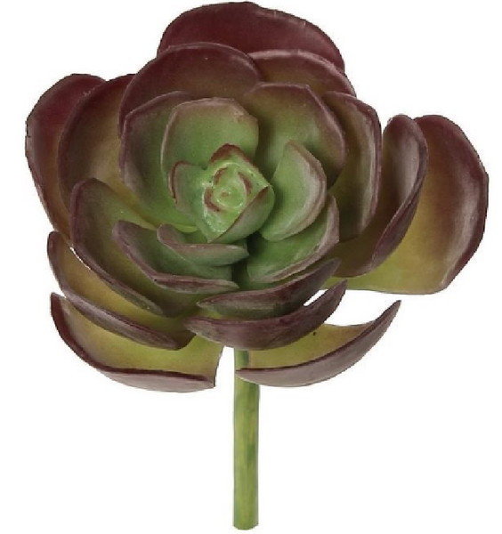 Select Artificials ECHEVERIA, 5.5"; 4.5" Rosette, PE, Green/Burgundy (FL1507/S-GBU)