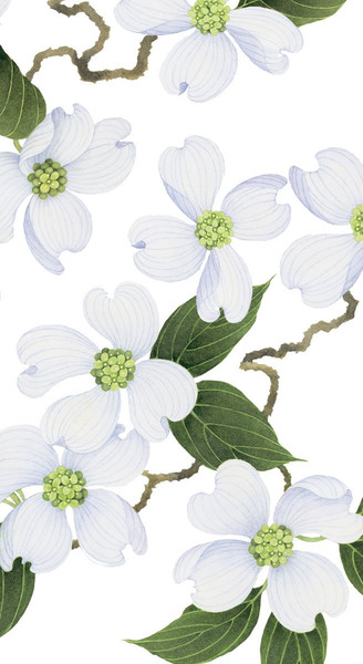 Caspari Paper Guest Towel Napkins, White Blossom - 2 Packs (9780G)