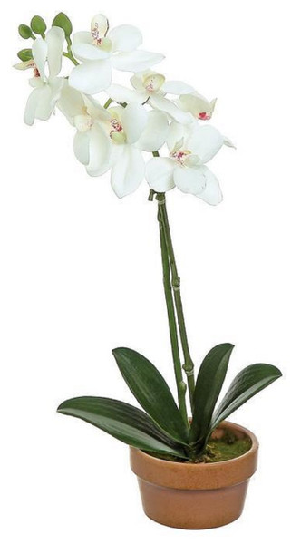 Select Artificials MINI PHALAENOPSIS ORCHID PLANT X1 IN POT, 16"; 2.25" BLOOMS, CREAM/PINK