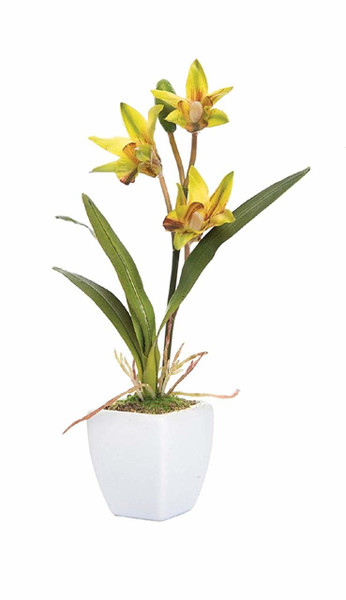 C&F Home Mini Yellow Orchid in Pot (PCK74209-YELLOW)