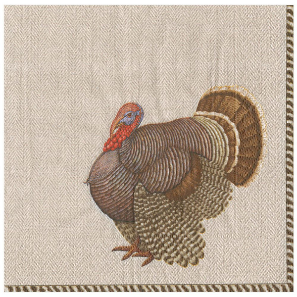 Caspari Paper Luncheon Napkins, Thomas T. Byrd - 2 Packs (12870L)
