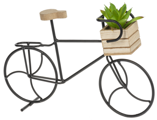 Ganz Bicycle Figure with Succulent