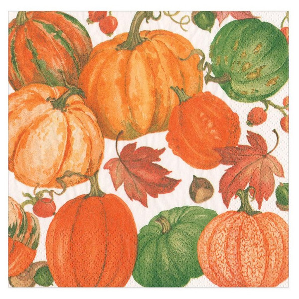 Caspari Paper Beverage Napkins, Pumpkin Field - 2 Packs (16550C)