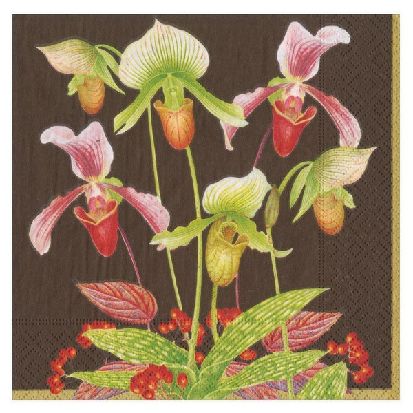 Caspari Paper Luncheon Napkins, Slipper Orchid Chestnut - 2 Packs (16591L)
