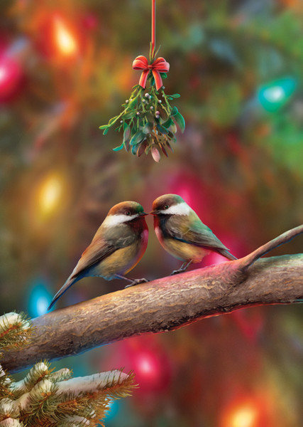 Vermont Christmas Company Box of Christmas Cards, Christmas Kiss (BGA006)