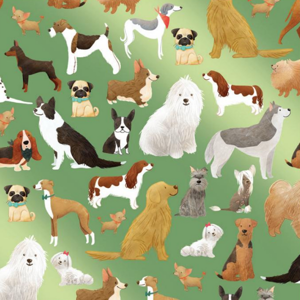 Jillson & Roberts Wrapping Paper, Best in Show (Green) - Set of 2