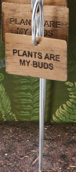 TAG Garden Stake - PLANTS ARE MY BUDS (G13811B)