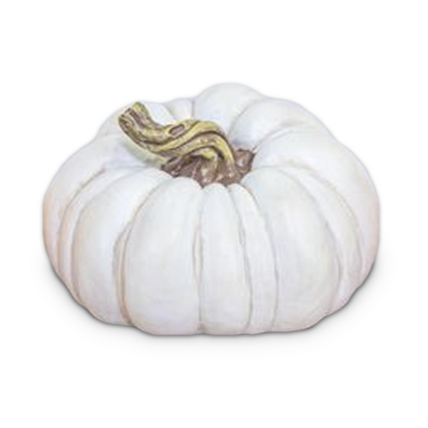 Hanna's Handiworks Autumn Patch Pumpkin, White - Large (41165C)