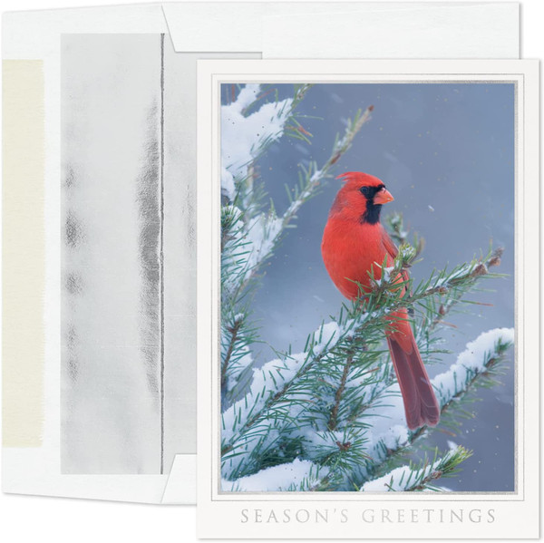 Masterpiece Studios Boxed Holiday Cards, Let Nature Sing (953500)