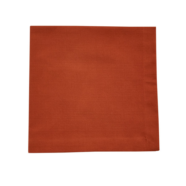 Park Designs Elements Napkins, Sienna - Set of 4 (1115-002SN)