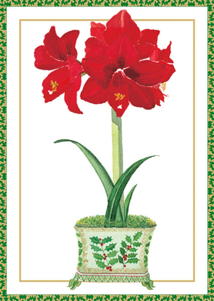 Caspari Boxed Christmas Cards, Amaryllis In Holly Pot - 16 Small Cards (103104)