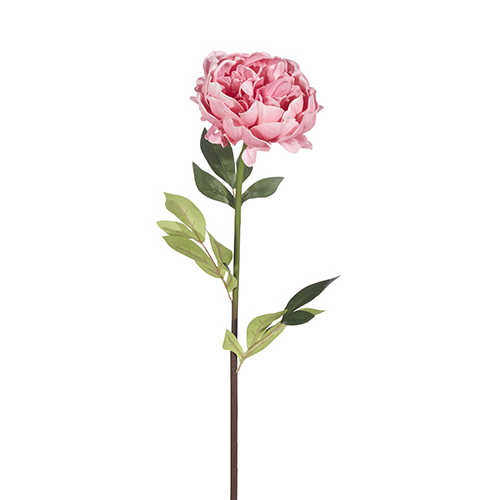 Raz Imports, 25" Real Touch Peony - Pink (XF4002107PINK)