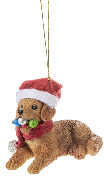 Ganz Ornament, Naughty Pets - Dog with Ornaments (EX26174F)
