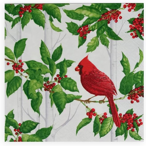 Caspari Paper Luncheon Napkins, Holly And Songbirds White & Silver - 2 Packs (17550L)