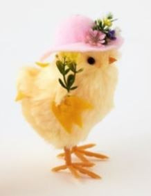 One Hundred 80 Degrees Easter Sunday Chick, Sun Hat (JA0144B)