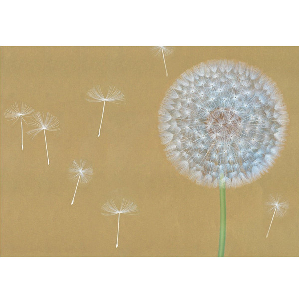Caspari Note Cards, Wish - Box of 8 (84617.42)