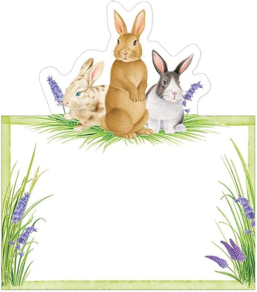 Caspari Die-Cut Place Cards, Bunnies and Daffodils - 2 Packs (92905P)