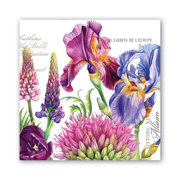 Michel Design Works Beverage Napkins, Deborah's Garden - 2 Packs (814372)