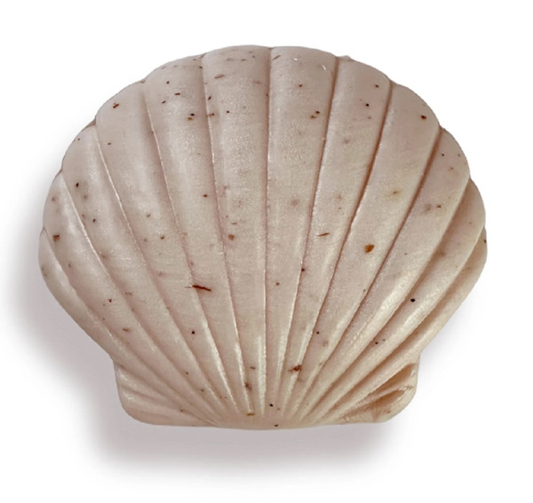 Greenwich Bay 4.3oz Sculpted Seashell Soap, Sugar Soleil (R5T005)