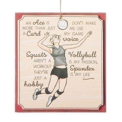 Roman Sport Ornament - Volleyball